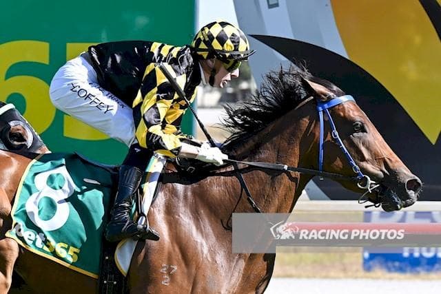 Swan Hill Double