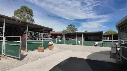 Welcome to Fitzsimmons Racing