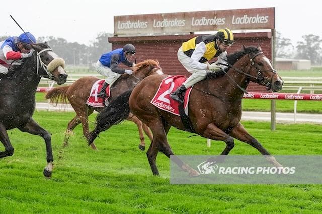 Winning Affair at Moe