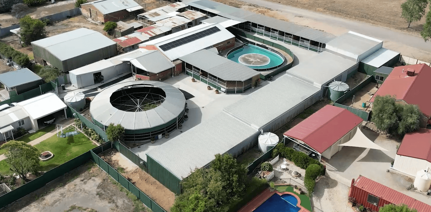 facilities-stables.png