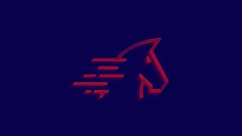 2026 Gold Coast Magic Millions Purchases