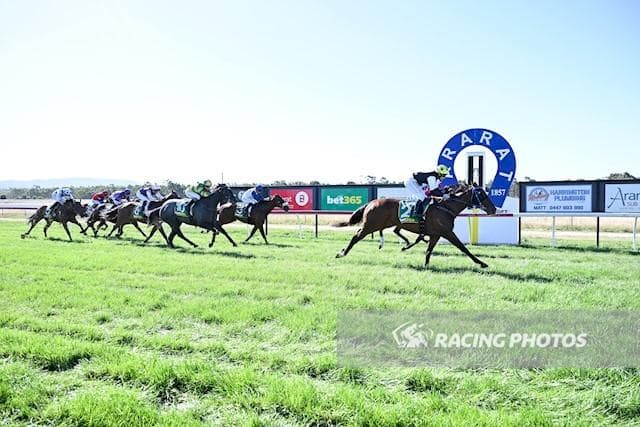 Marty McFly Flies Again at Ararat