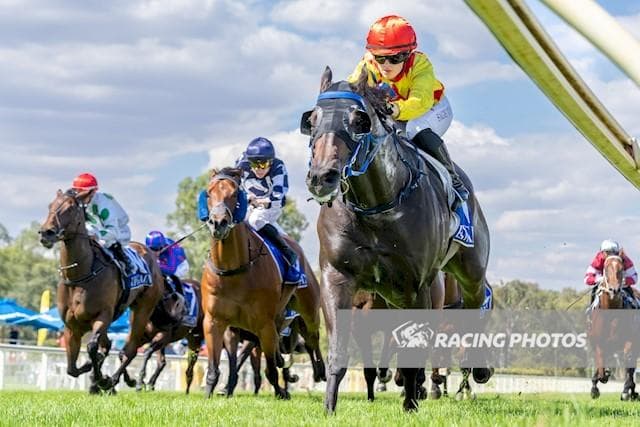 Condor Keeps Soaring at Wangaratta