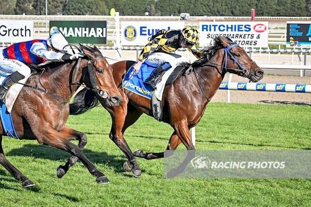 Ravalli Returns to Winning Form