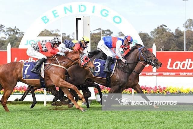 Blazing Sword Cuts Through at Bendigo